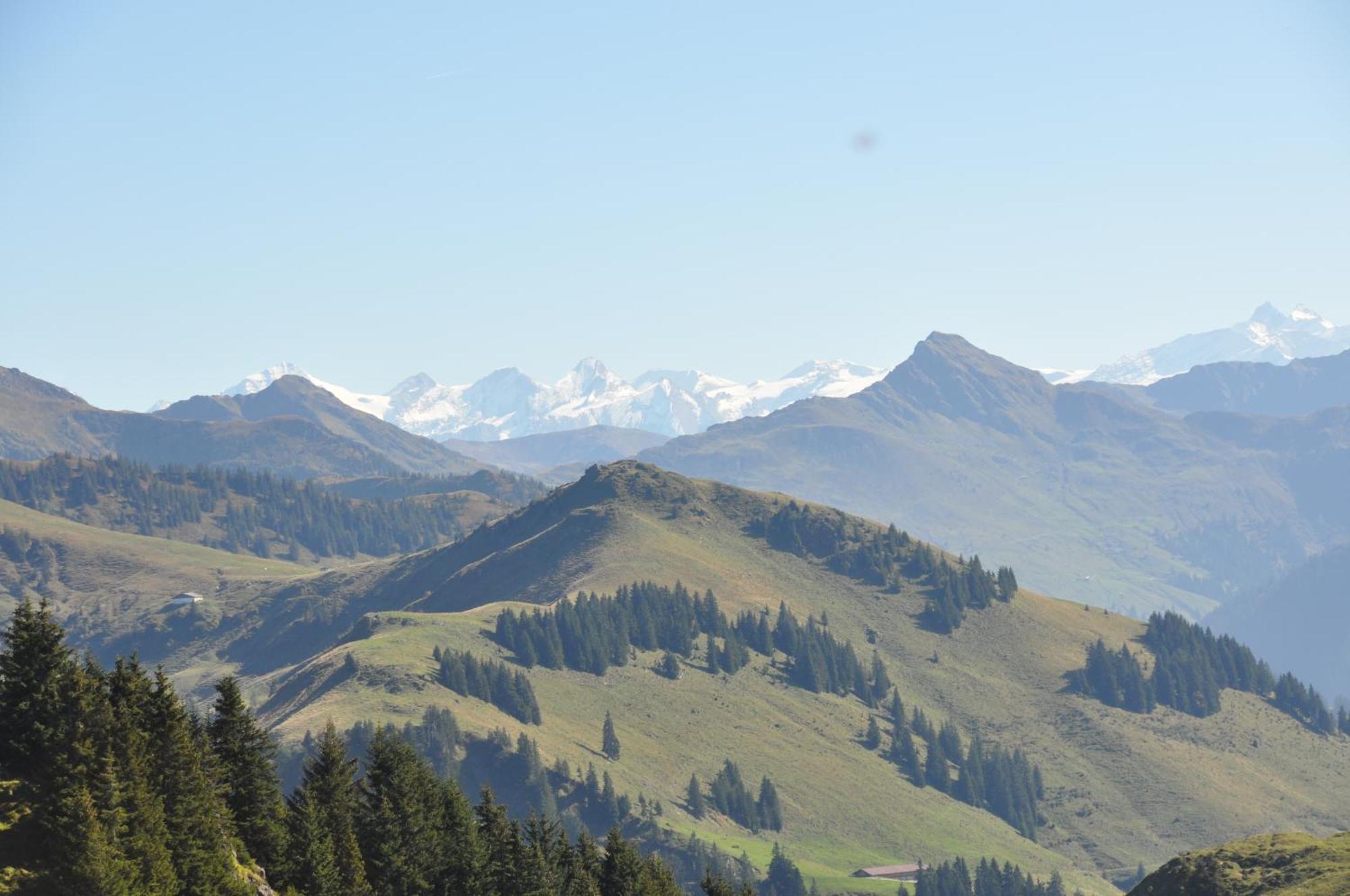Pension Schmidinger Kitzbühel Zewnętrze zdjęcie